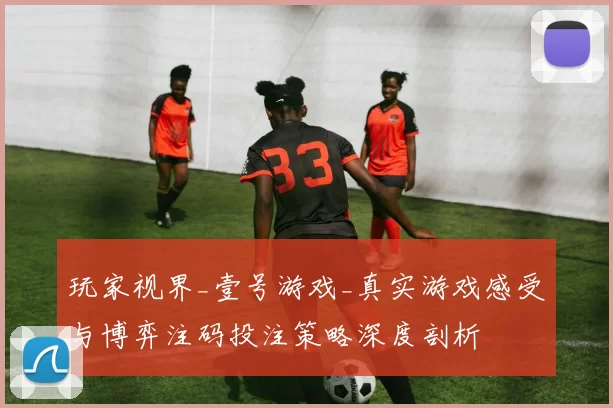 玩家视界_壹号游戏_真实游戏感受与博弈注码投注策略深度剖析