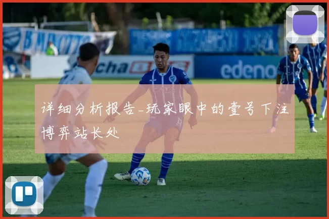 详细分析报告_玩家眼中的壹号下注博弈站长处