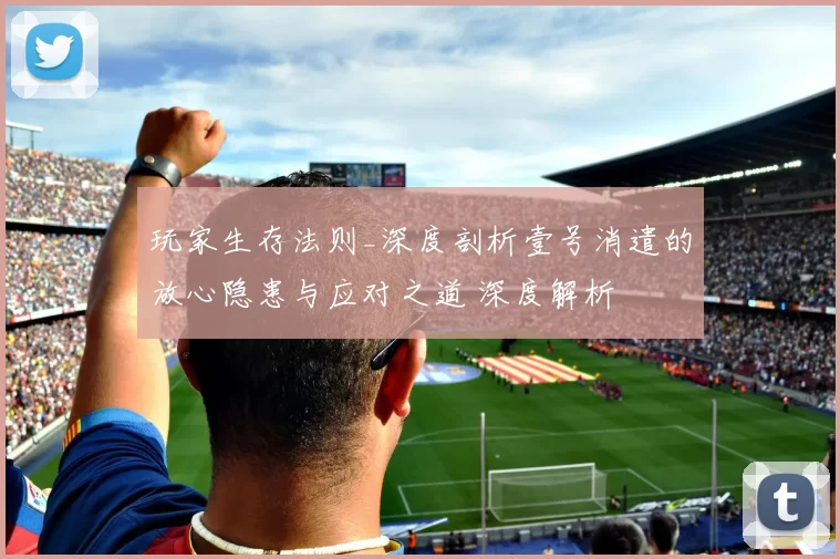 玩家生存法则_深度剖析壹号消遣的放心隐患与应对之道 深度解析