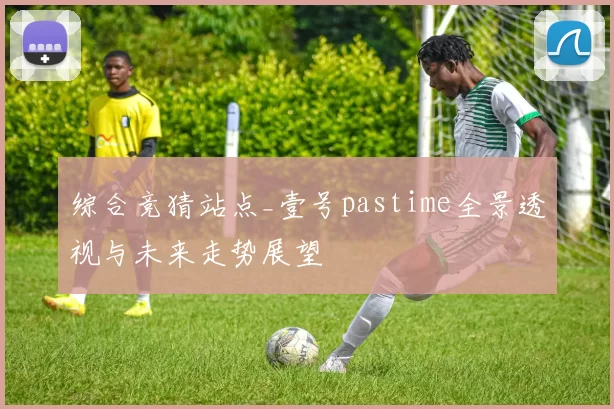 综合竞猜站点_壹号pastime全景透视与未来走势展望