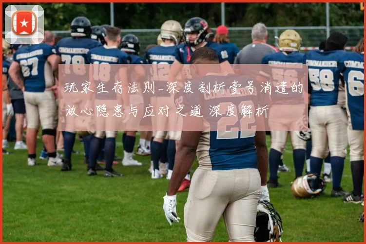 玩家生存法则_深度剖析壹号消遣的放心隐患与应对之道 深度解析