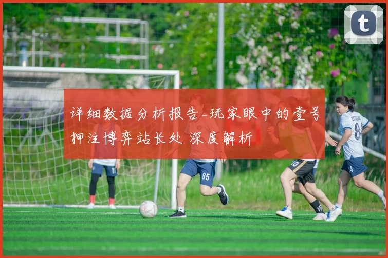 详细数据分析报告_玩家眼中的壹号押注博弈站长处 深度解析