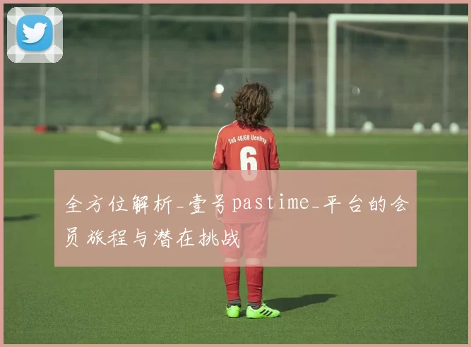 全方位解析_壹号pastime_平台的会员旅程与潜在挑战