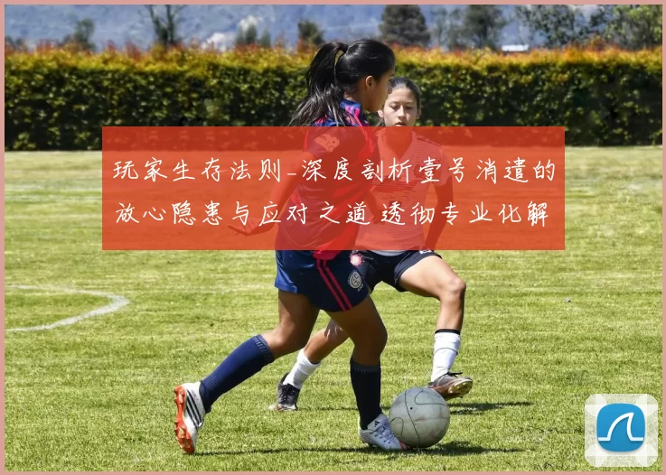 玩家生存法则_深度剖析壹号消遣的放心隐患与应对之道 透彻专业化解析 透彻分析