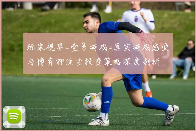 玩家视界_壹号游戏_真实游戏感受与博弈押注金投资策略深度剖析