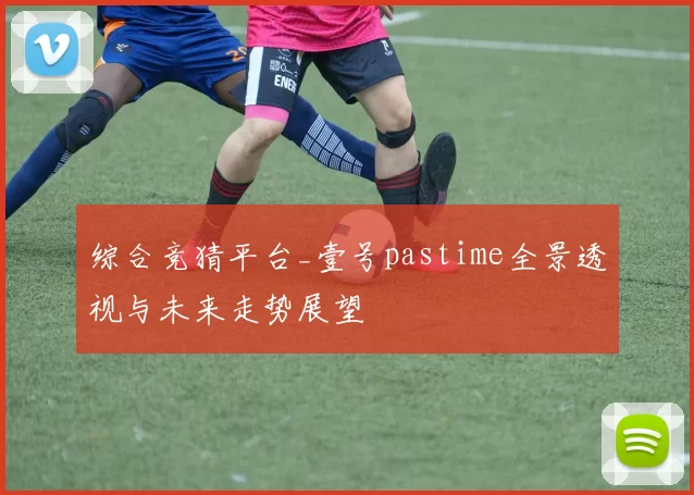 综合竞猜平台_壹号pastime全景透视与未来走势展望